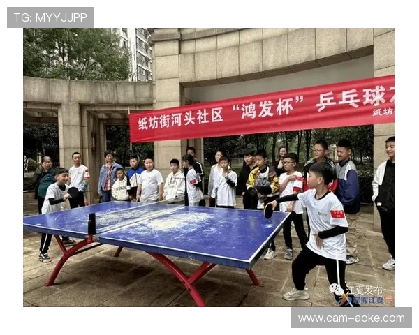 体育文化活动协同开展，增强社区文化凝聚力