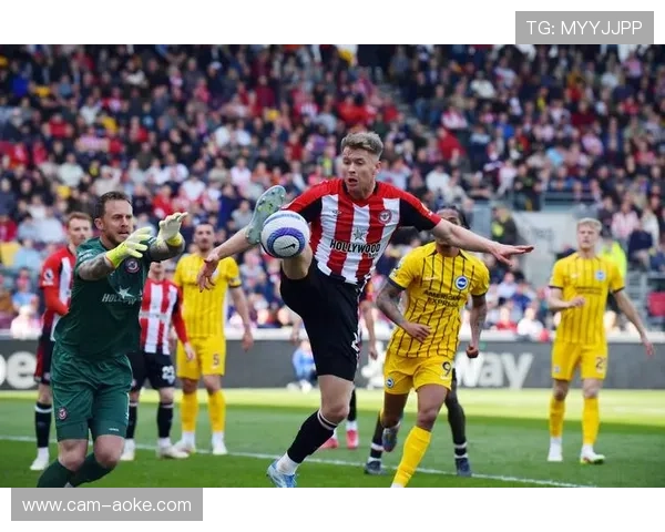 布莱顿主场轻取桑德兰，结束十二月不胜魔咒