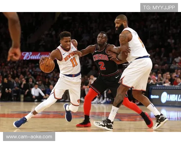 尼克斯场均篮板高居联盟第二，内线优势明显