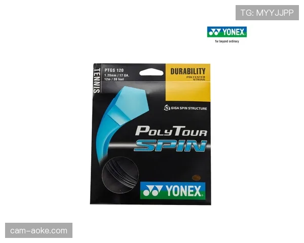 网球拍品牌Yonex 2025财年财报显示，欧美市场销售额增长显著